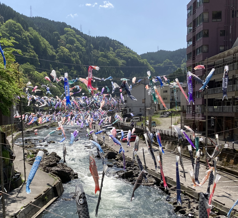 ５月、杖立温泉の鯉のぼりを