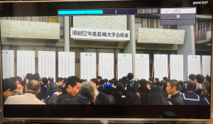 風に立つライオン
