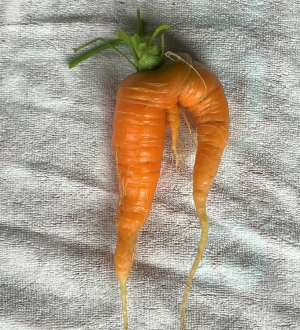 なんだかなぁ・・・