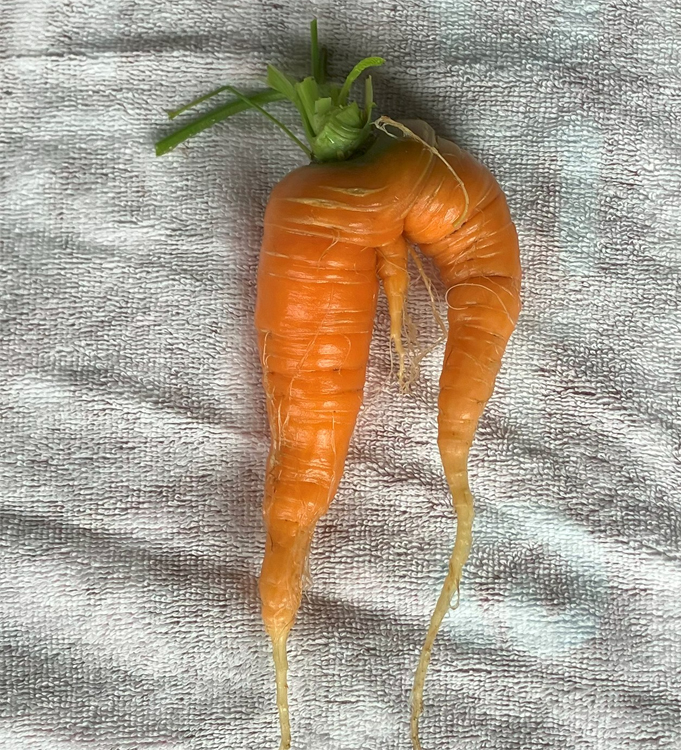なんだかなぁ・・・