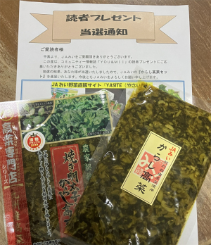 からし高菜セットが当たりました