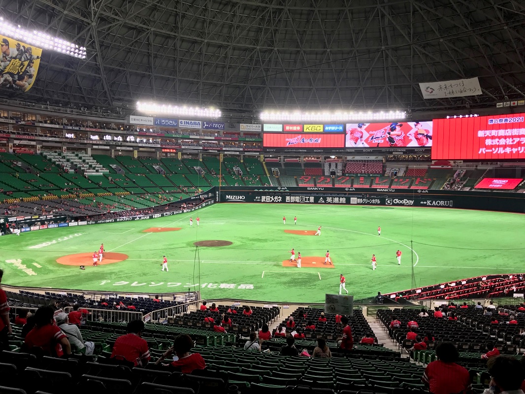 久しぶりに野球観戦